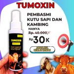 Tumoxin obat kutu sapi yang ampuh