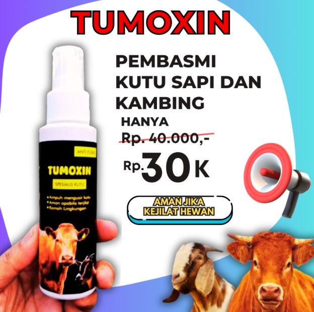 Tumoxin Obat Kutu Sapi yang Ampuh