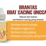 Brantas Obat Cacing Unggas Ayam Bebek Entok Cair Terbaik