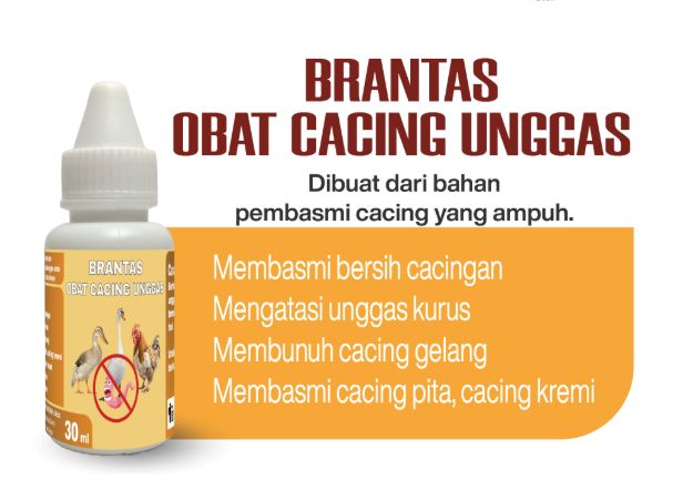 Brantas Obat Cacing Unggas Ayam Bebek Entok Cair Terbaik