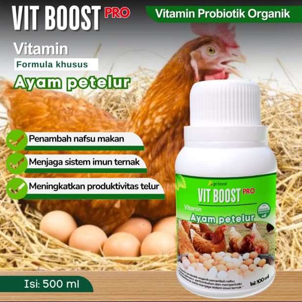Vitboost Pro Vitamin Ayam Petelur yang Bagus